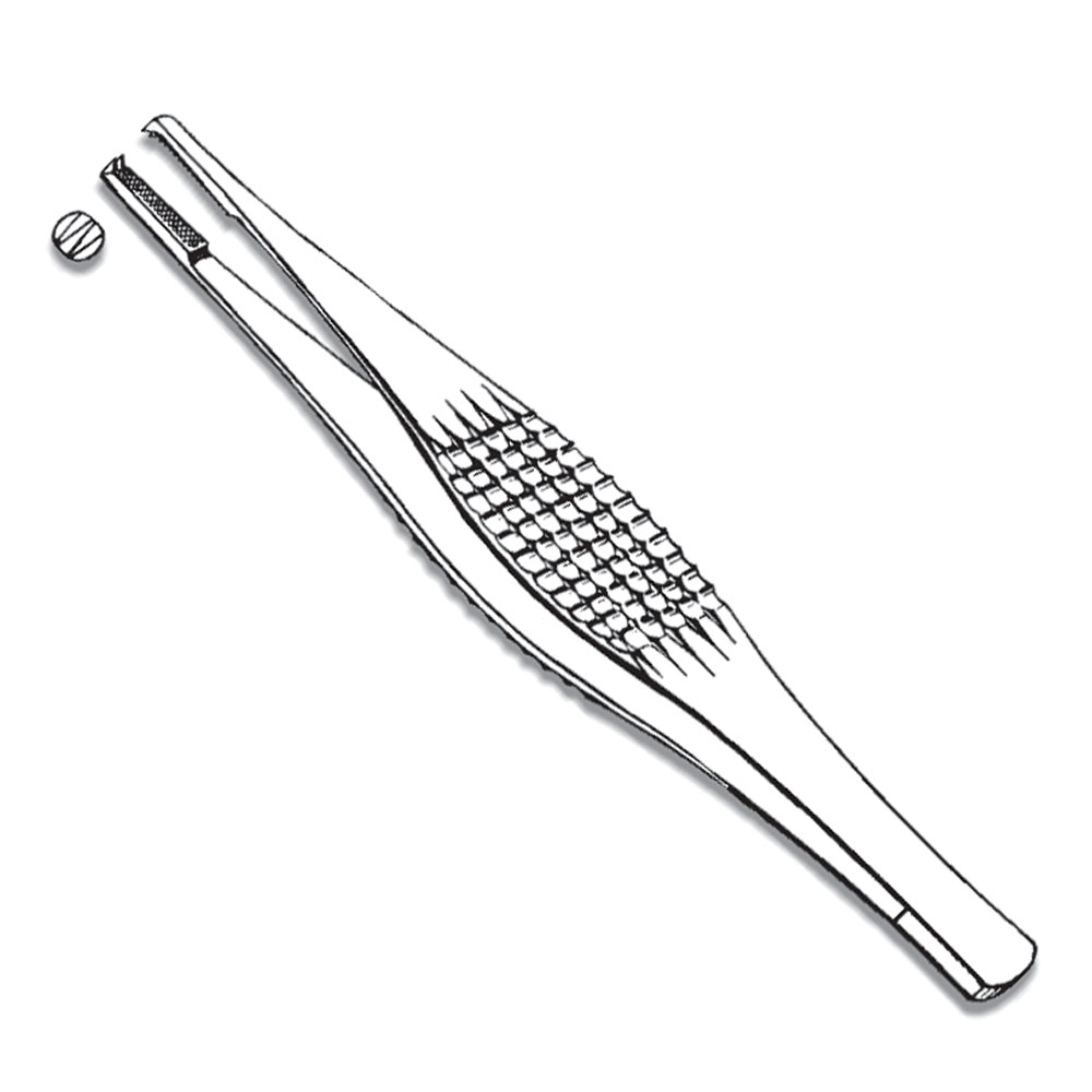 Dissecting Forceps