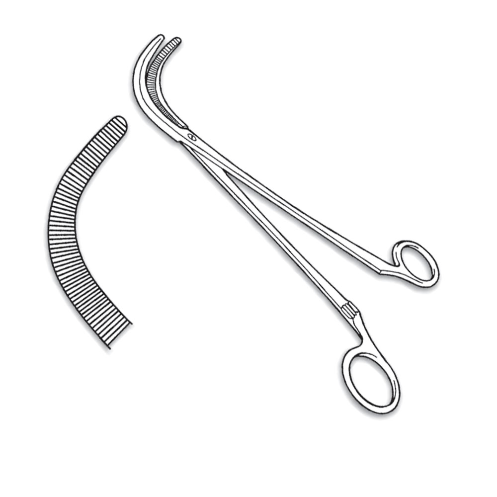 Artery Forceps